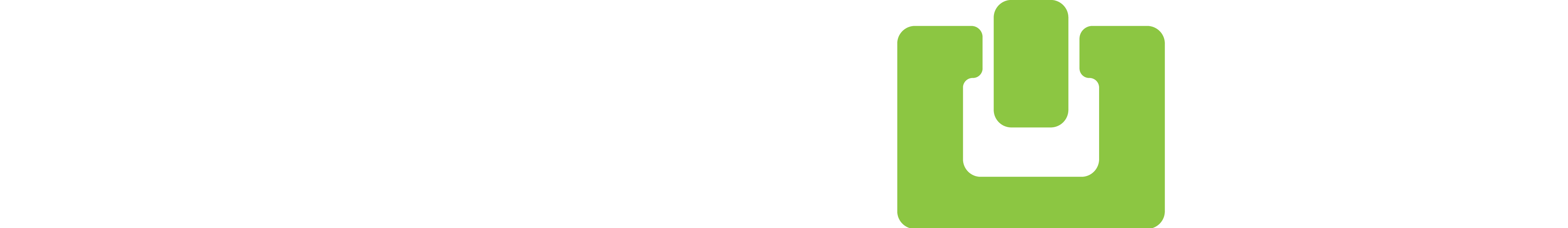 TECOBI White and Green Logo
