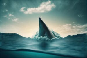 a shark fin sticking out of the water